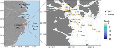 Scenarios of temporal environmental alterations and phytoplankton diversity in a changing bay in the East China Sea
